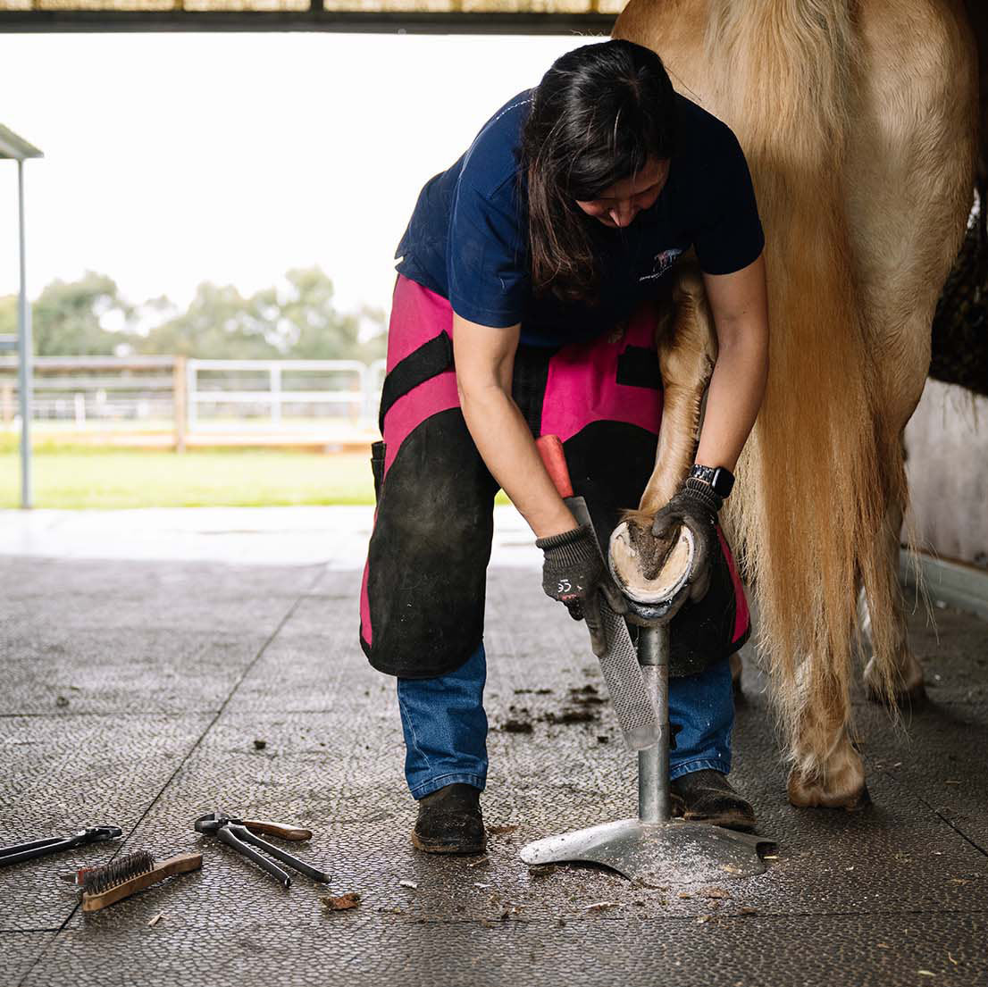 Therapeutic Hoof Care: Boot Fitting, Polyshoes & Tips