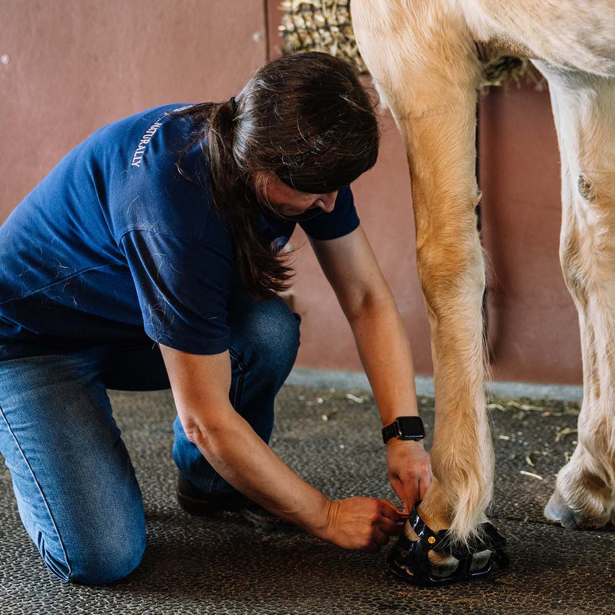 Therapeutic Hoof Care: Boot Fitting, Polyshoes & Tips
