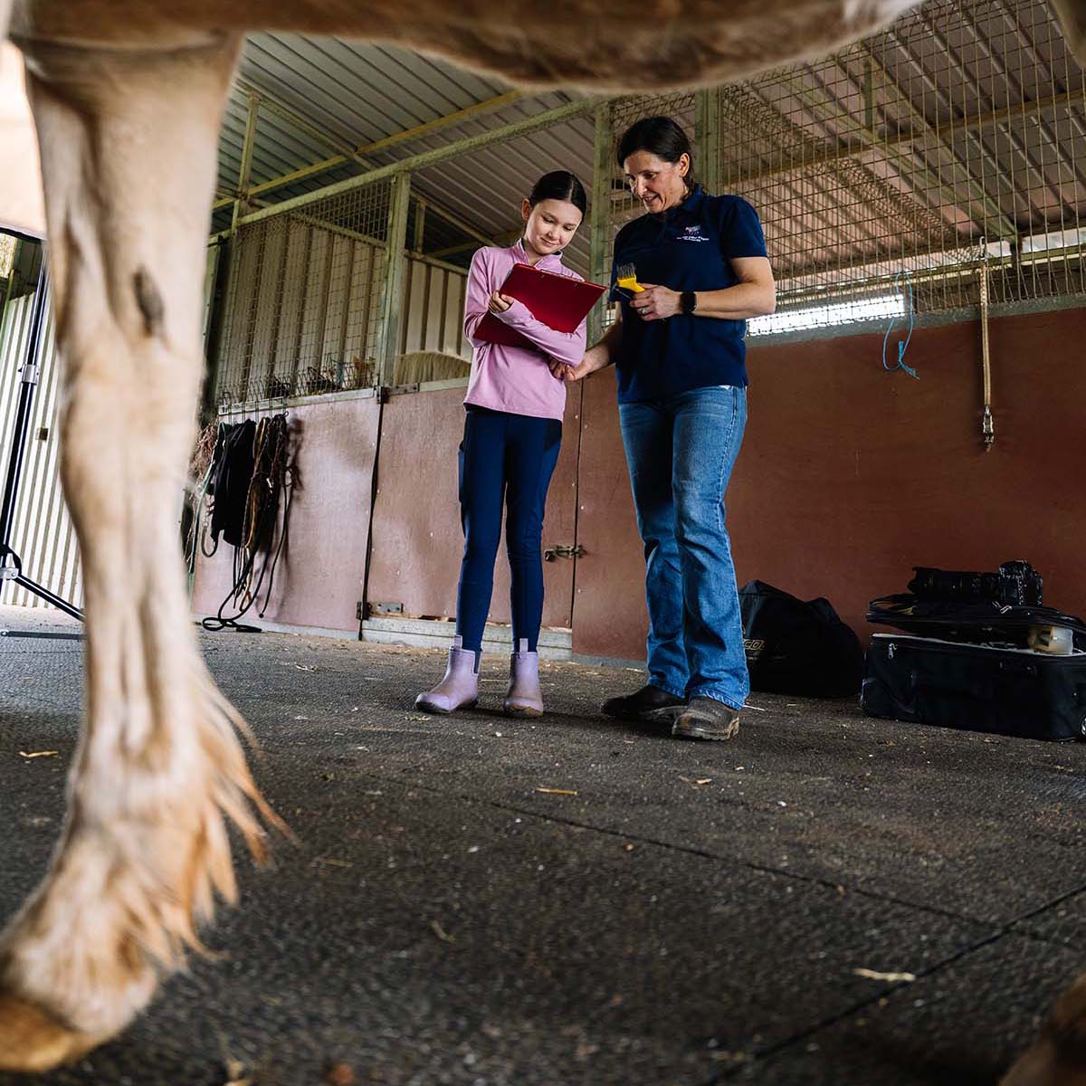 Laminitis Consultation