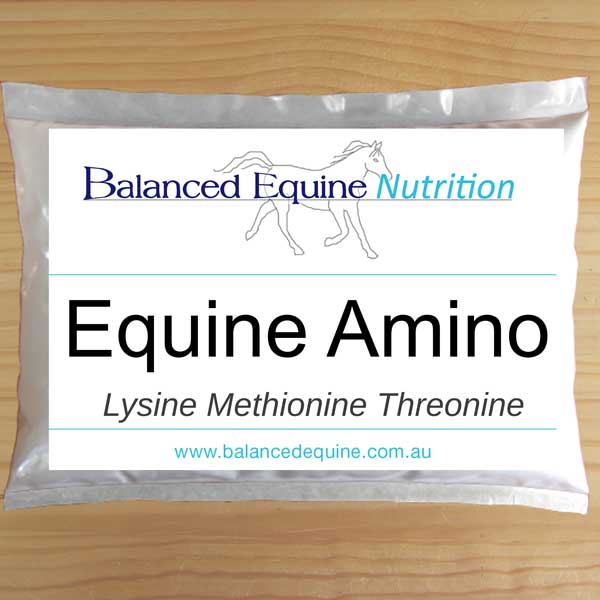 Equine Amino (1Kg)