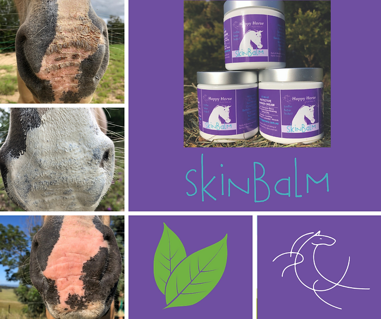 SkinBalm (250g)